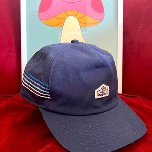 Patagonia snapback